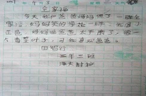 中文老师组成