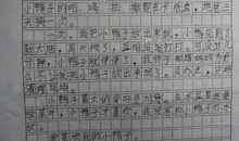 我最喜欢的一本书作文300字
