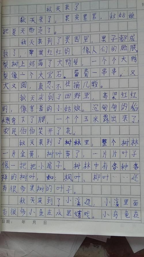 秋天在这里小学生组成