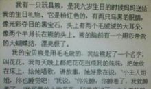 我的玩具作文