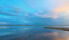 形容收货鲜花开心的句子 鲜花带来的好心情句子