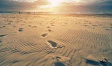 一步一个脚印励志句子励志名言【47句】