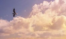 希望朋友每天开心的句子 希望朋友开心的暖心话