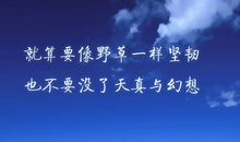 关于励志的句子图片：苦难是人生的老师