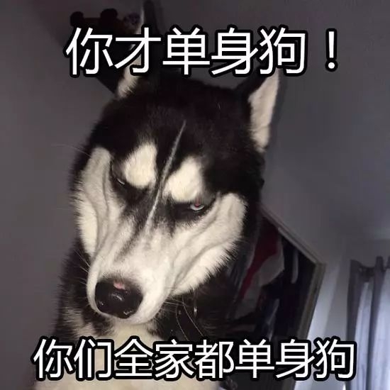七夕的幽默没有女朋友，七夕的单身狗，附照片2