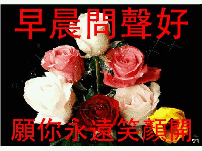 美好的祝福