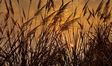 和宝贝开心的句子 陪宝贝开心的句子