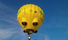 正能量的句子经典开心 开心幽默正能量的句子