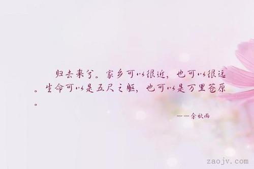 来自故乡的审美句子