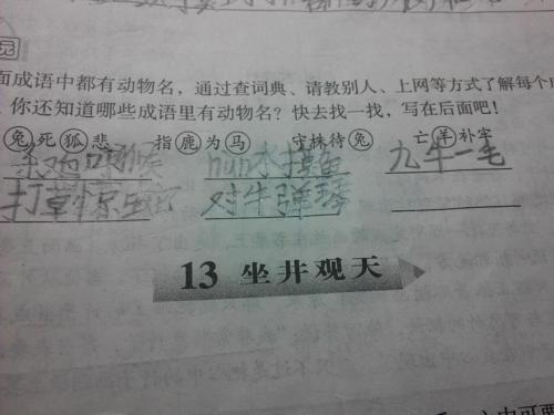 也造句