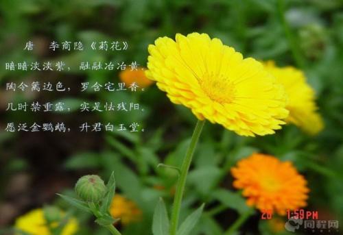秋天的诗