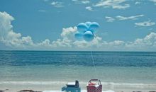 形容一个人开心表情的句子 描写人物开心的表情的好句