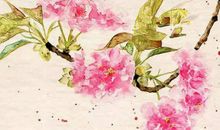 关于友谊的诗句古诗词