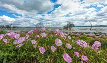 春节玩的很开心的句子 新年形容玩得很嗨的句子