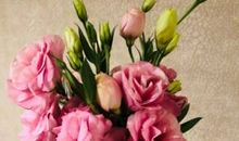 宝贝玩开心的句子 小宝贝开心快乐的句子