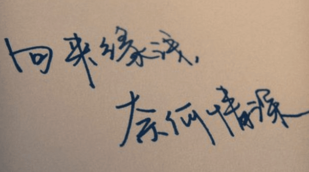 深情的报价