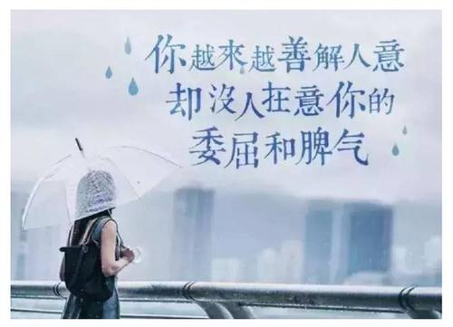 流行动机句