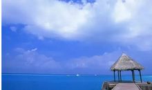 使人开心坚强的句子 使人意志坚强的句子