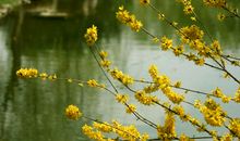 开心的句子作文开头 怎么表达开心句子开头