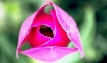 形容开心快乐幽默的句子 让人开心的句子