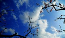 开心生活工作励志的句子说说心情 励志开心的句子说说心情