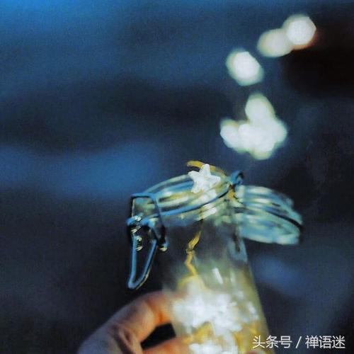 你放弃我的句子和图片你会后悔的