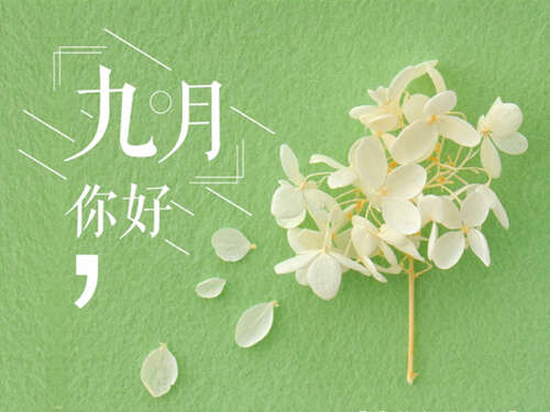 九月早安句子九月早安心脏句子正能量