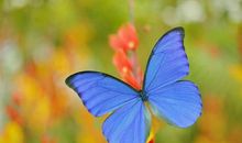 形容人不后悔的句子