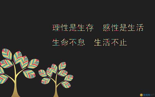 成为服装企业家的励志词
