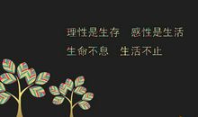 想做服装创业的励志话语