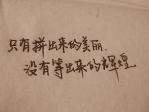 句子的美丽摘录