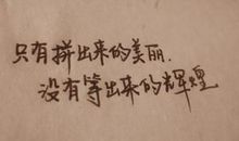 句子优美的摘抄