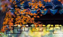 去旅游开心的心情句子 游玩时的心情开心的句子