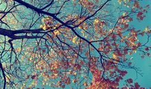 每天都有假装开心的句子 假装开心句子