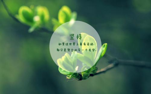 都印审美说话短语