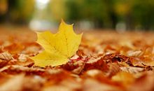 安慰朋友的开心句子说说心情短语 希望朋友们开心的句子