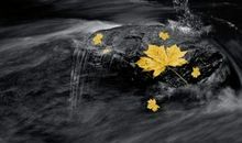 开心外貌的句子有哪些 开心幽默正能量外貌的句子