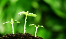 开心甜蜜的句子短句子 开心甜蜜的句子