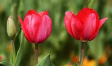 五一节的开心句子 五一劳动节快乐的句子