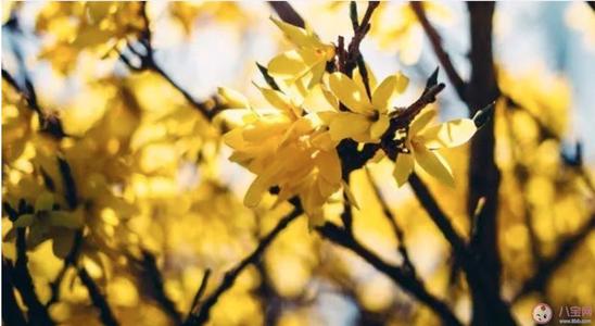 不快乐的元宵节句子元宵节真知灼见