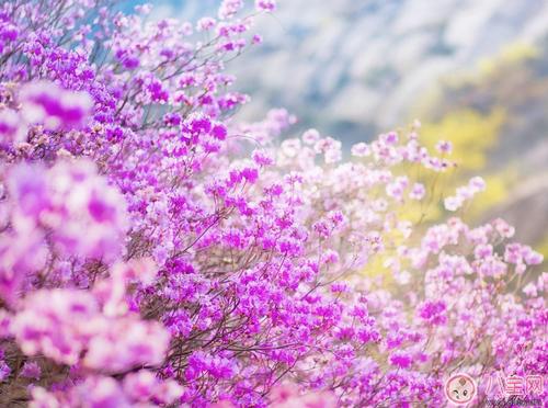不快乐的元宵节句子元宵节感悟1