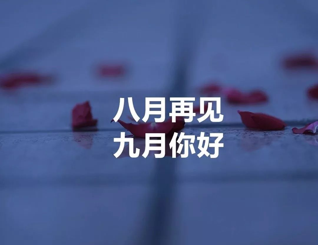 在您的朋友圈8和9月再见2