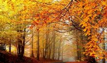 今天过的很开心的句子 今天特开心的短句