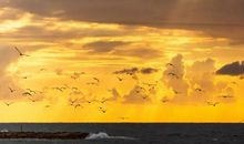 忆高考落榜后的心酸句子