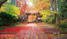 心酸想要离开的句子