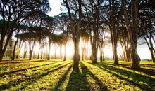 心酸搞笑的句子说说心情