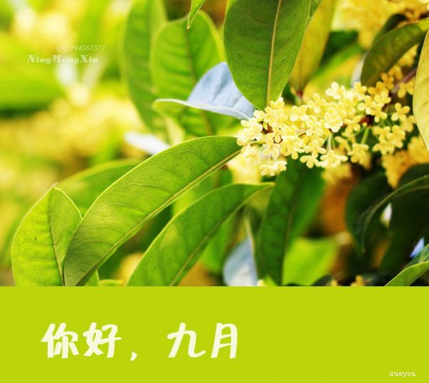 您好，9月，可能所有美好的事情都出乎意料了，所有的运气都会如期实现