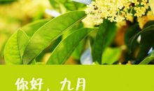 九月你好愿所有美好不期而遇所有幸运如约而至