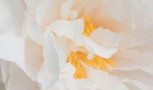 干净温柔的神仙句子 很仙的宝藏文案