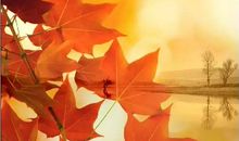 描写秋天的句子唯美 收获的季节